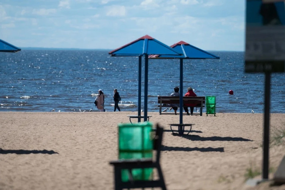 Пляжи Петербурга будут благоустраивать с учетом мнения климатологов и геологов.