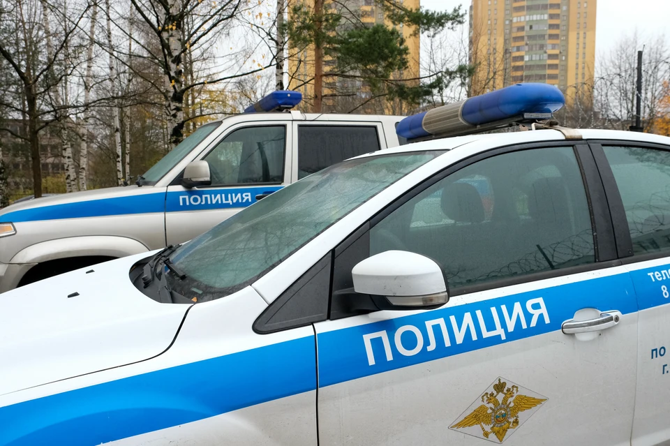 В Петербурге остановили машину с оружием внутри.