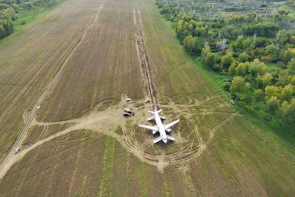 Самолет приземлился на поле с зерном, оставив за собой длинную борозду. Фото: пресс-служба «Уральских авиалиний»