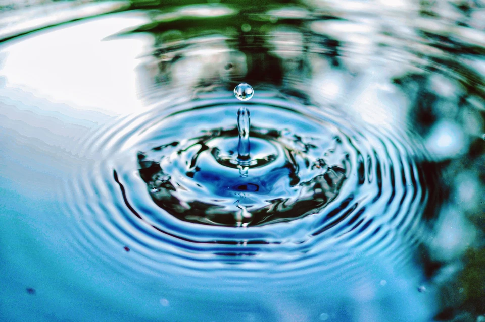 Фото - Unsplash.com