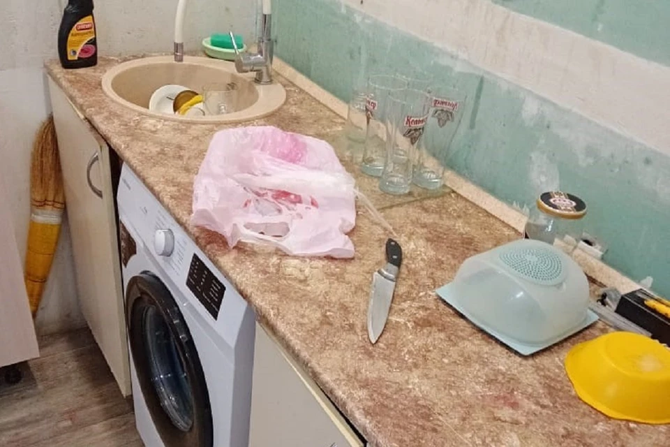 Жительница Новосибирска, искромсавшая ножом приятельницу, ответит в суде. Фото: СК РФ НСО.