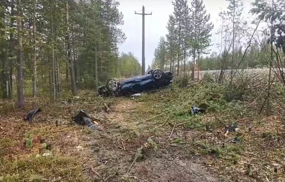 Скриншот из видео