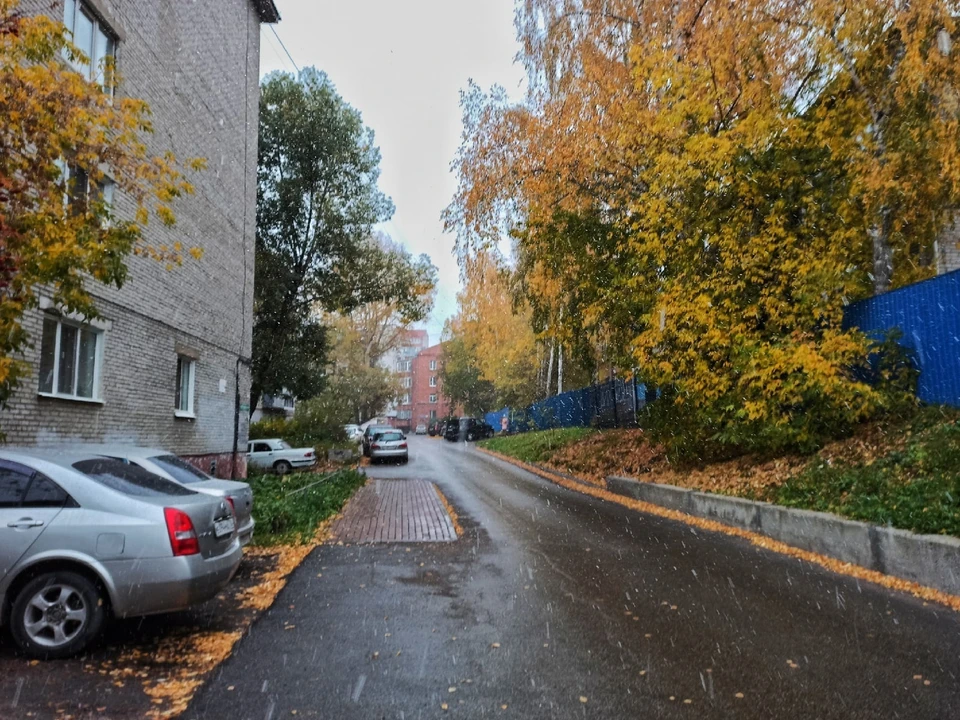 Фото: Наталья Качановская/ АиФ-Томск