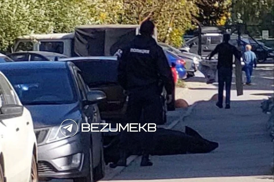 На место происшествия прибыли сотрудники полиции. Фото: Telegram-канал «Безумный ЕКБ»