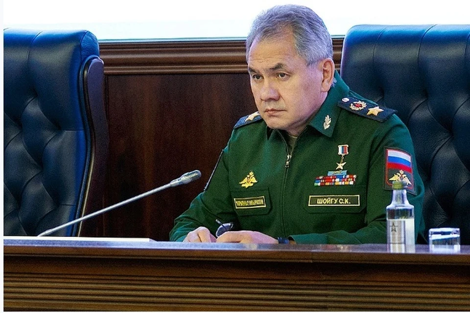Минобороны РФ: Шойгу провел встречу с главой Минобороны Южного Судана