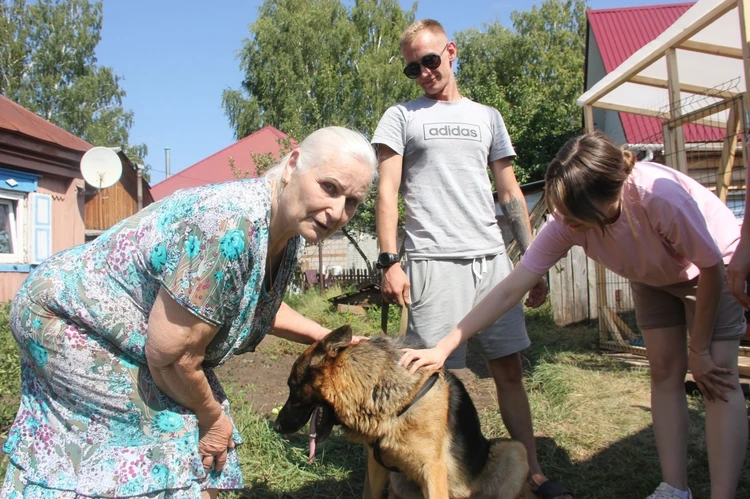 Спасенные бойцом в зоне СВО кот и пес обрели новый дом в Башкирии