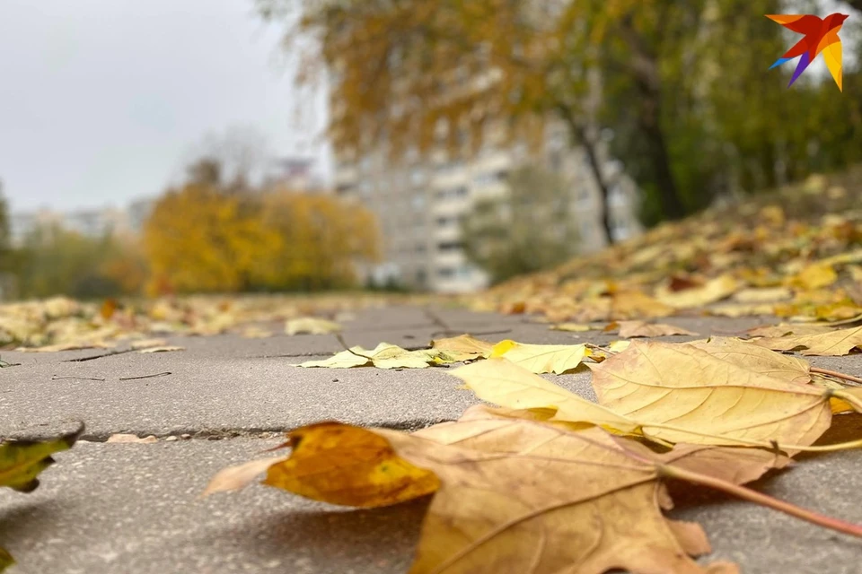 Что можно и нельзя делать в день Иона и Фоки 5 октября. Фото: архив «КП»