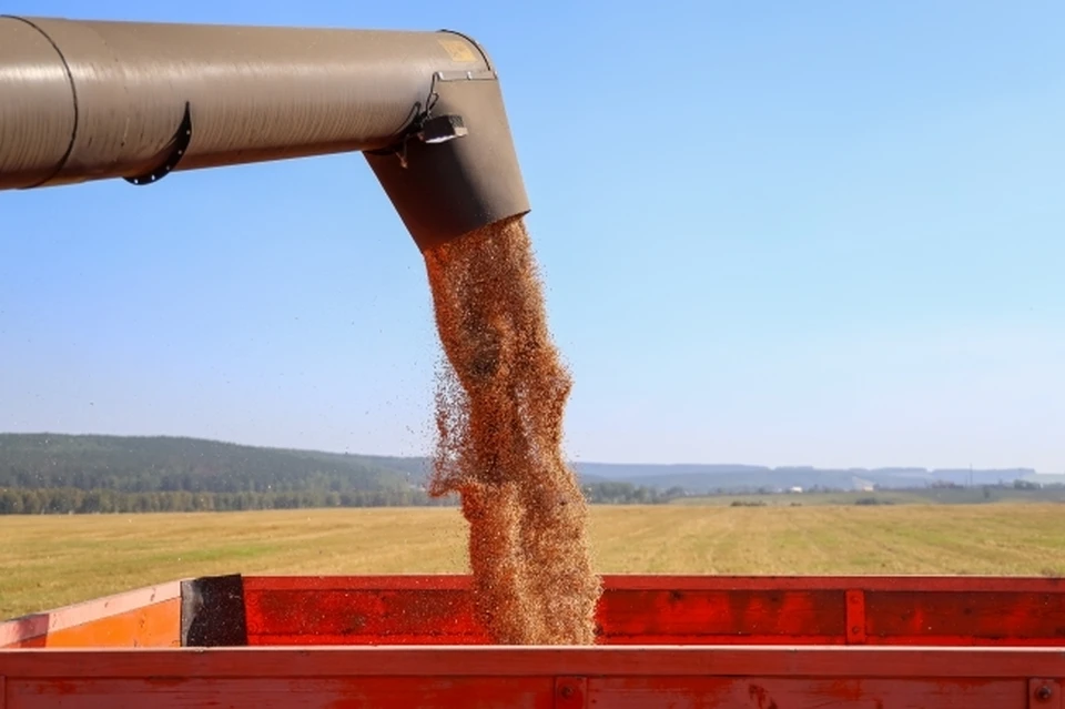 Из Ростовской области экспортировали сельхозпродукции на 6,8 млрд долларов