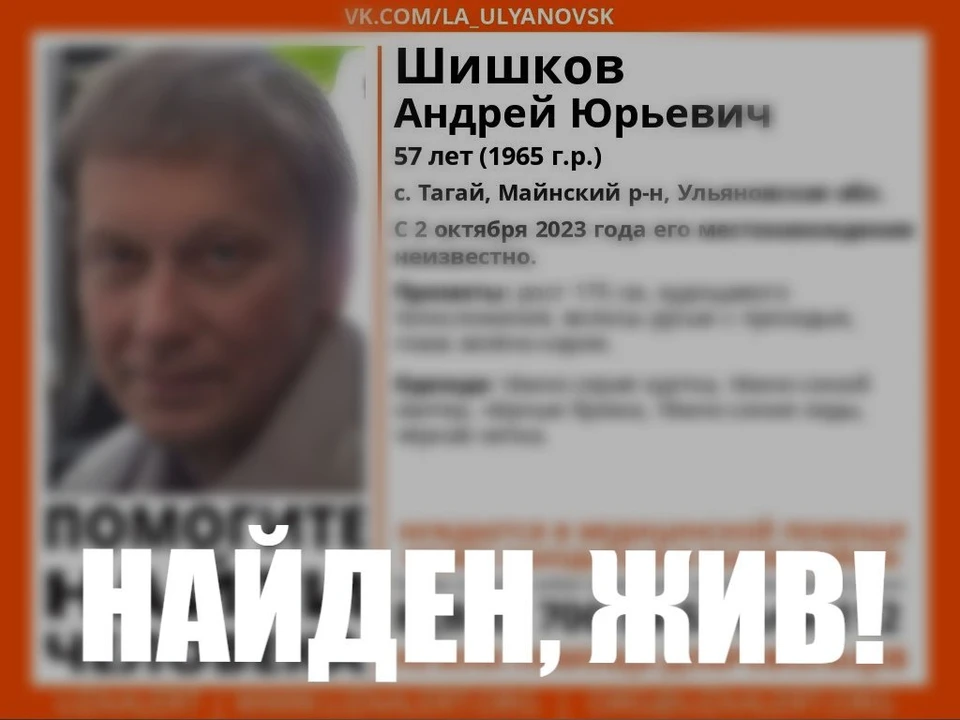 Пропавшего жителя села Тагай Майнского района Ульяновской области нашли живым. Фото "Лиза Алерт"
