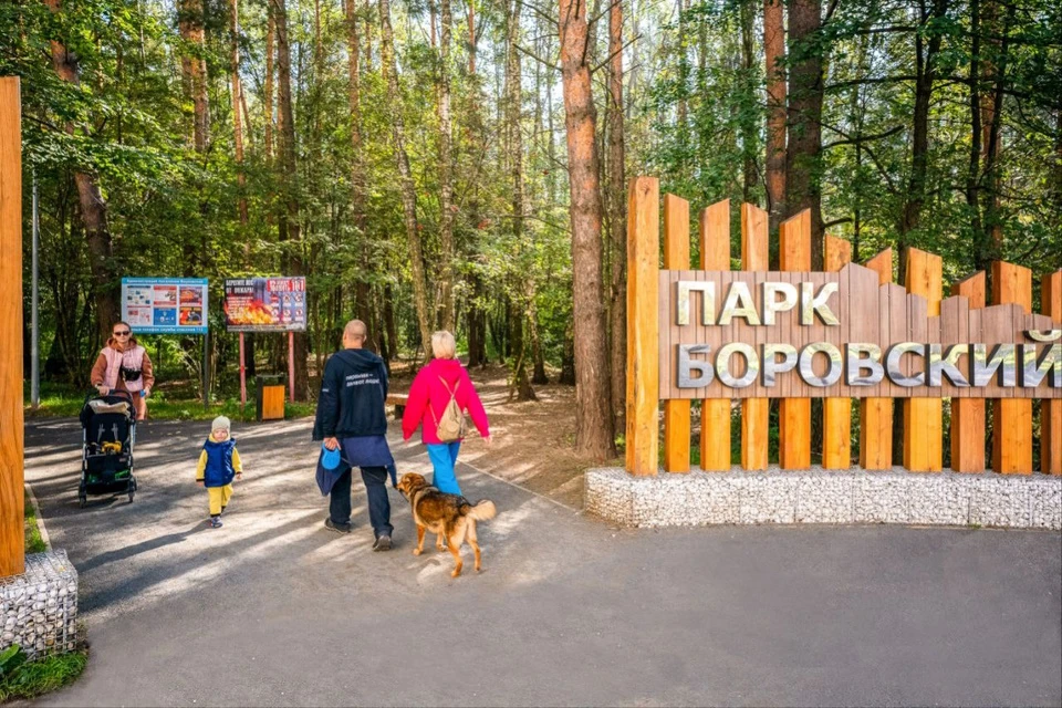 Работы в Боровском парке проходили в два этапа. Фото: телеграм-канал Сергея Собянина