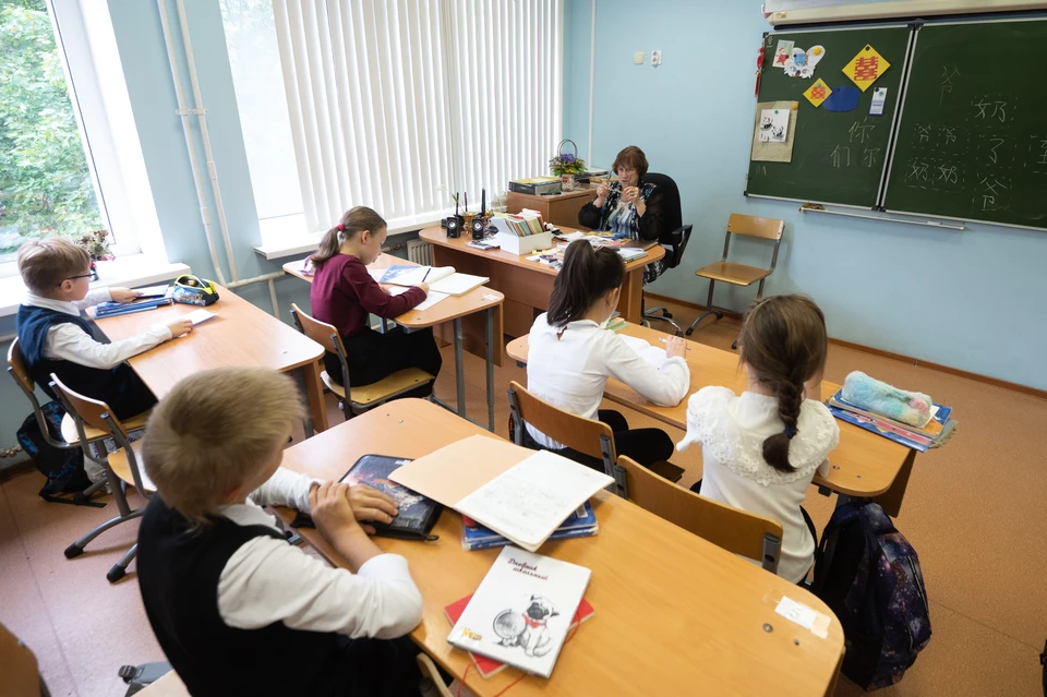 Новые звания за вклад в сферу образования получат 15 педагогов из Петербурга.