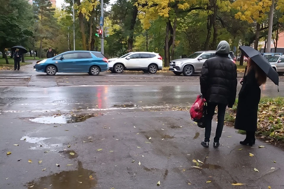 Золотая осень на фоне блеклого неба: жителей Хабаровского края предупреждают об опасностях из-за циклона
