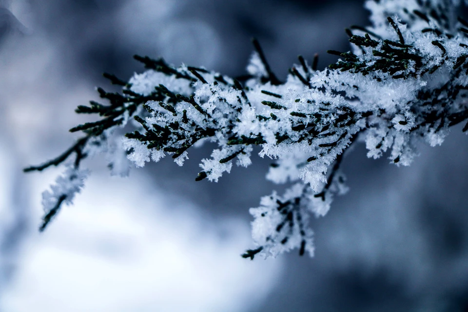 Источник: ru.freepik.com
