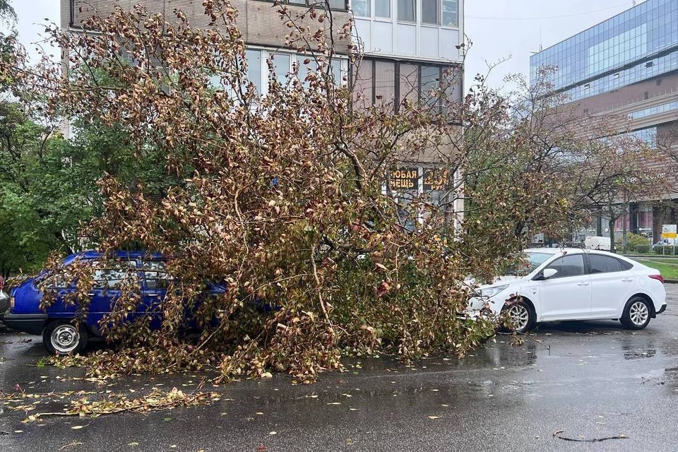 Сильный ветер в петербурге сегодня. Сильный ветер в петербурге сегодня