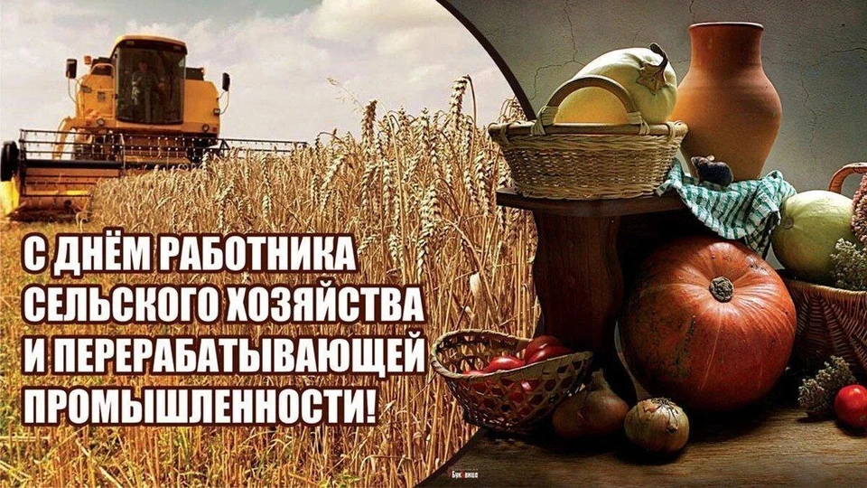 "Сельское хозяйство является важнейшим для экономики видом деятельности"
