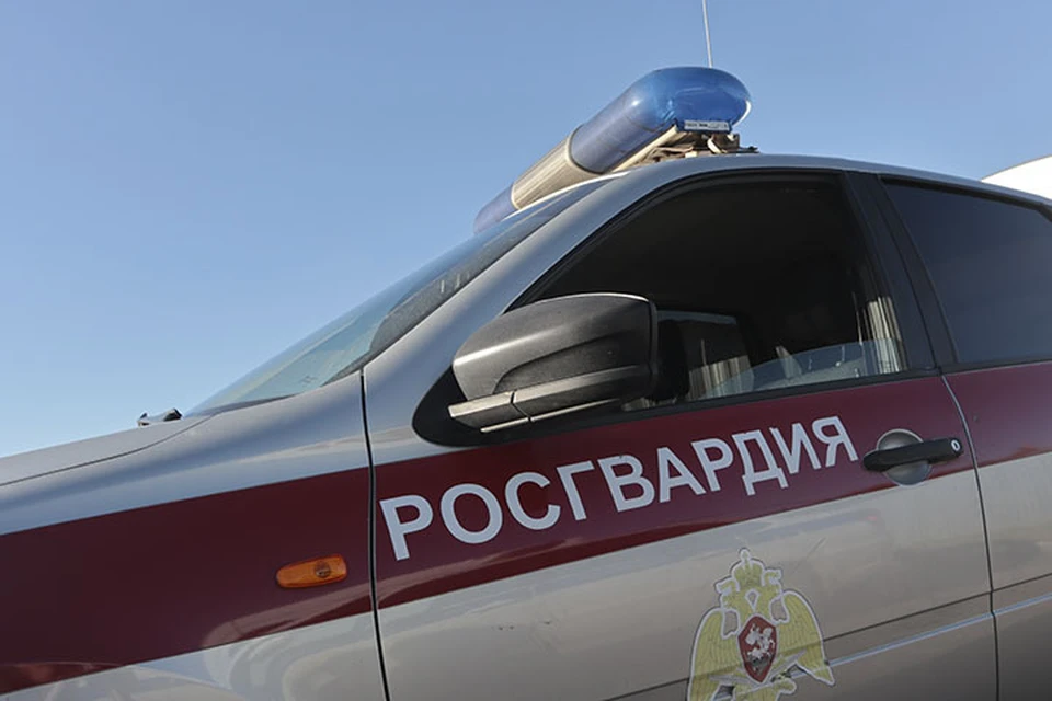 Жительнице Тверской области полагается денежное вознаграждение за добровольную сдачу оружия Фото: Управление Росгвардии по Тверской области