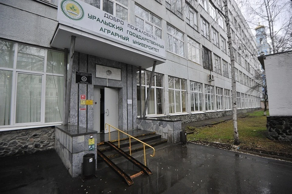 В самом университете пока не комментируют случившееся