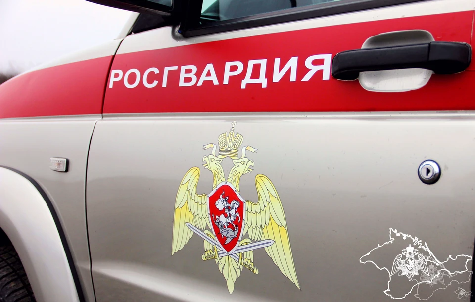 Агрессивного мужчину угомонили росгвардейцы. Фото: 82.rosguard.gov.ru