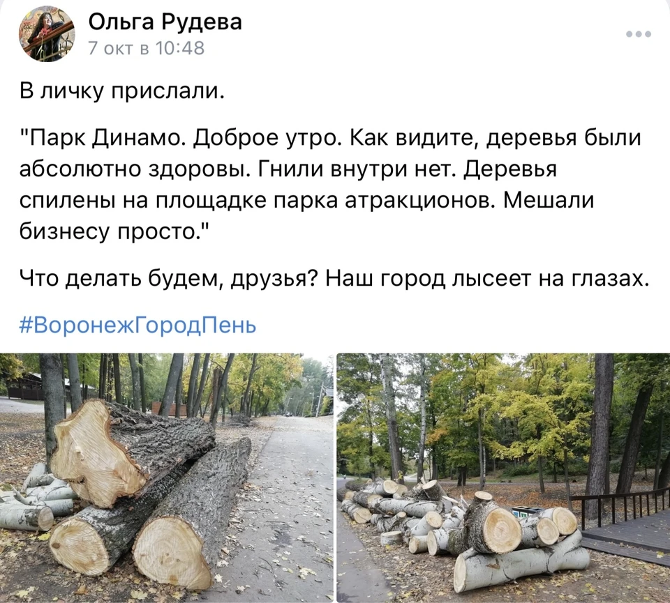 скриншот из аккаунта Ольги Рудевой