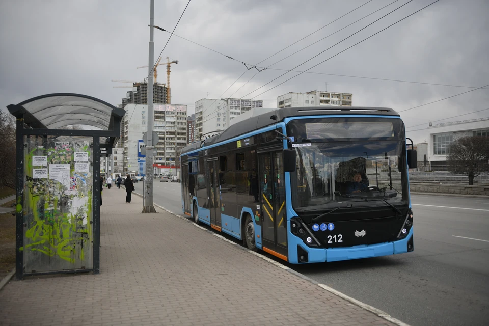 Проголосовать можно до 22 октября.