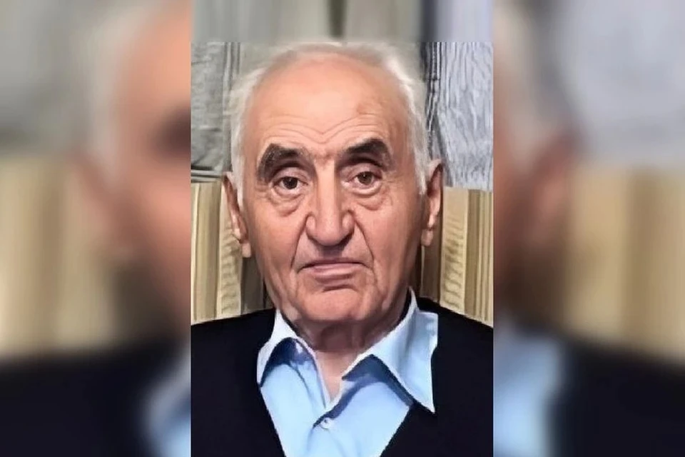 В Новосибирской области завершены поиски 89-летнего пенсионера, который ушел в лес и не вернулся. Фото: "ЛизаАлерт НСО"