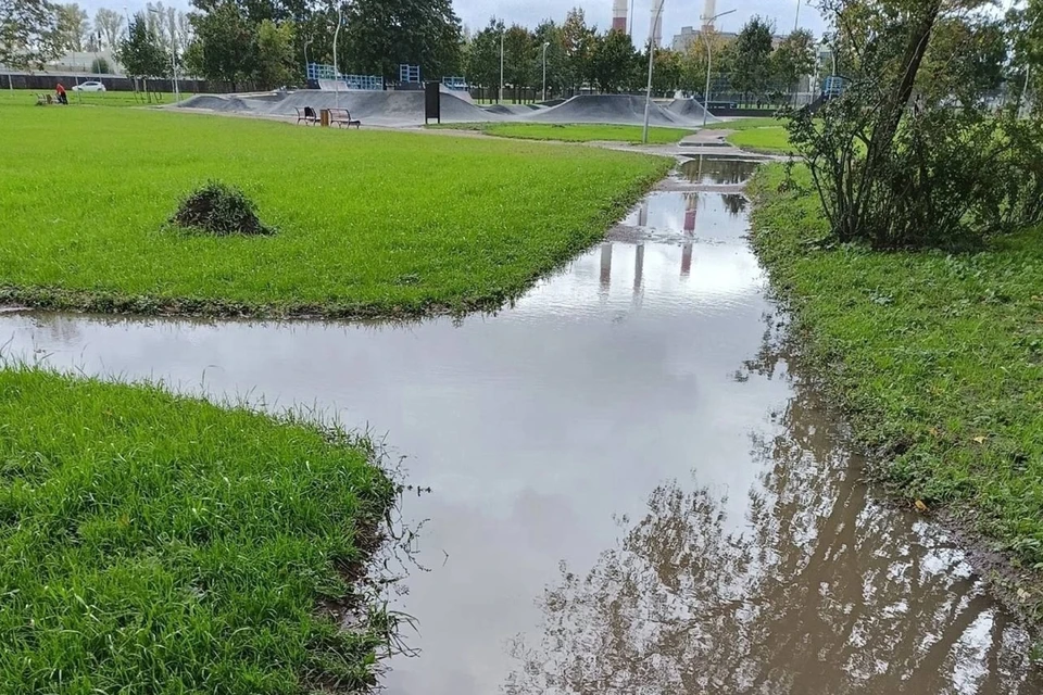 Парки Петербурга массово оказались под водой из-за осенних дождей и ветра. Фото: vk.com/id18854038