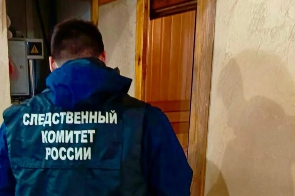 По версии следствия, мужчина задушил пенсионерку. Фото: СУ СК РФ по Удмуртии