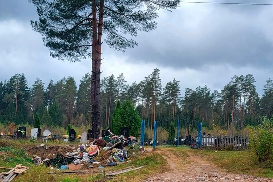 Фото: пресс-служба прокуратуры Брянскойо бласти.