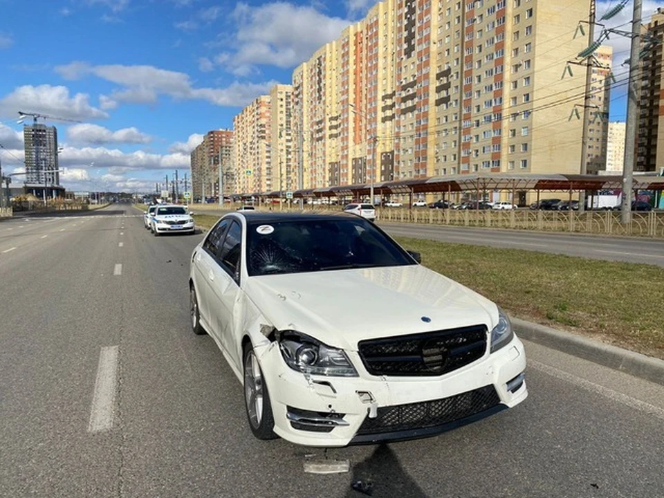 Фото: Госавтоинспекция Ставропольского края