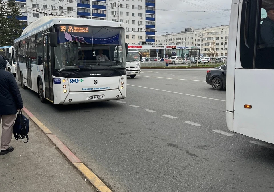 Больше Башкирии поездок на автобусах совершается только в Москве