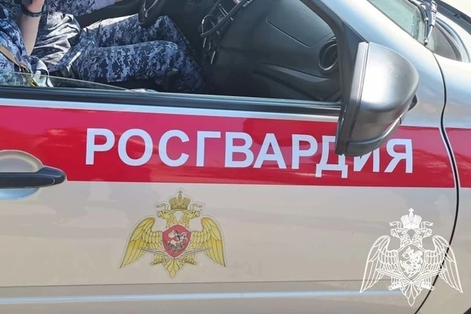 Росгвардейцы помогли семье, пробившей на трассе под Липецком колесо машины