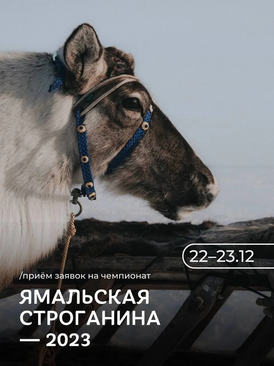 Фото: администрация Ямальского района