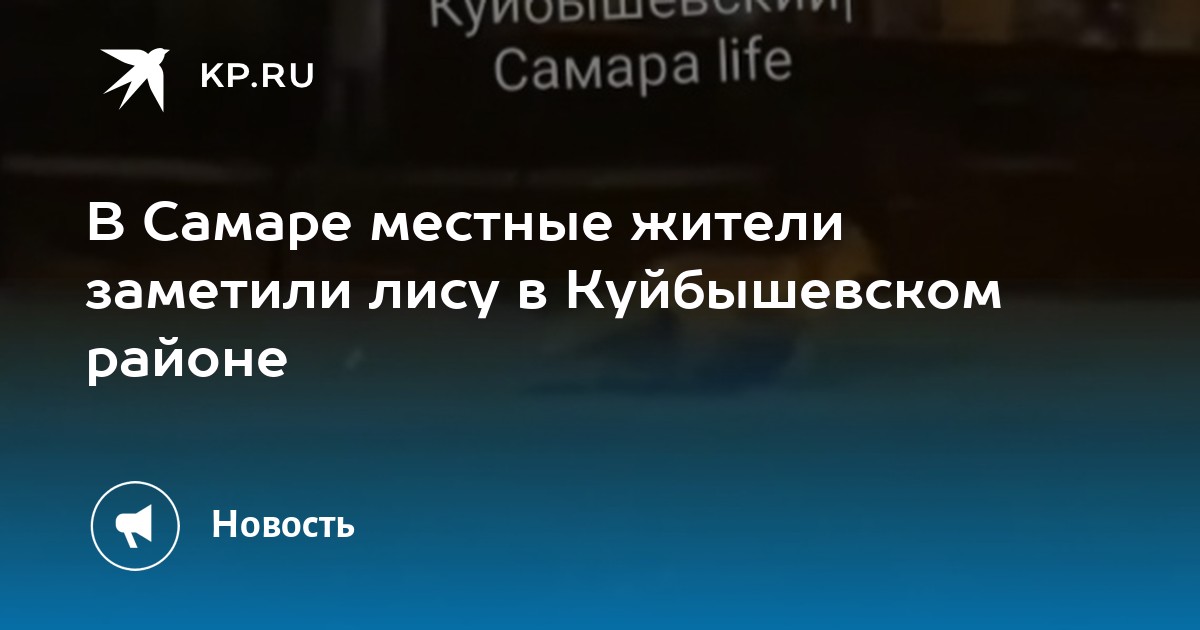 В Самаре местные жители заметили лису в Куйбышевском районе -KPRU