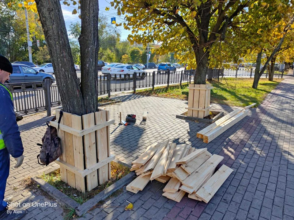 Фото управы Коминтерновского района
