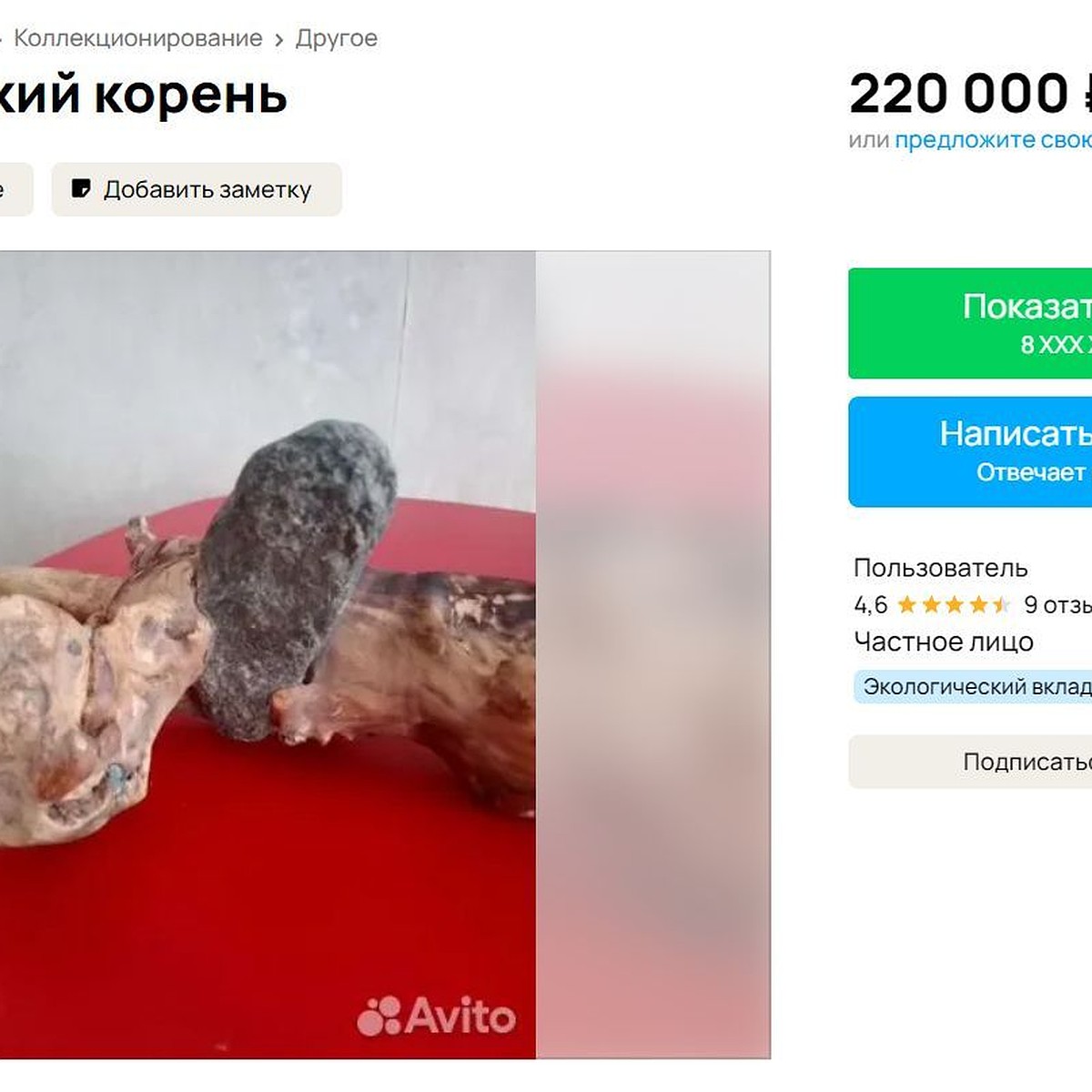 Корень, заряженный «алтайской силой», продают за 220 тысяч рублей - KP.RU