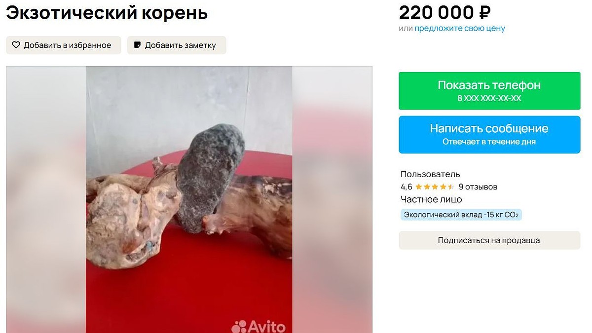 Корень, заряженный «алтайской силой», продают за 220 тысяч рублей - KP.RU