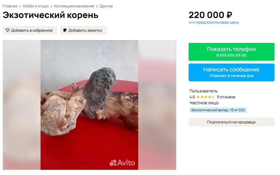 Фото: скриншот с сайта Авито