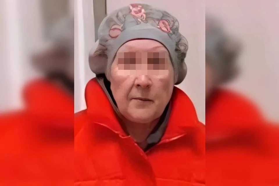 Поиски 85-летней пенсионерки в берете завершились в Новосибирске. Фото: ЛизаАлерт НСО