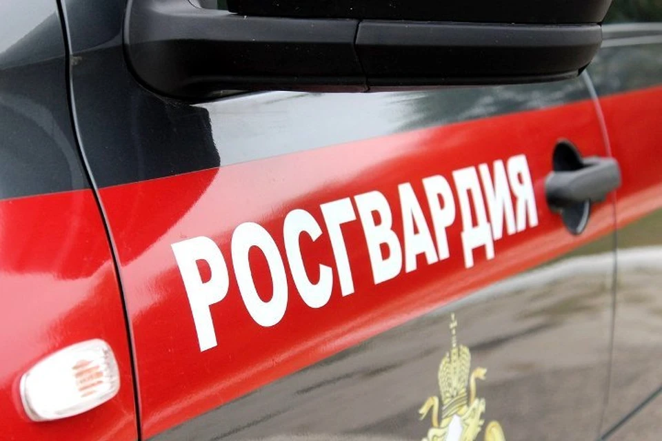 Фото: пресс-служба Управления Росгвардии по Брянской области.