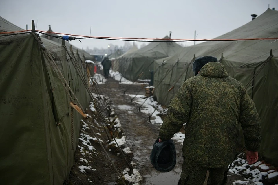 Около 50 многодетных семей бойцов СВО не воспользовались правом на получение земли.