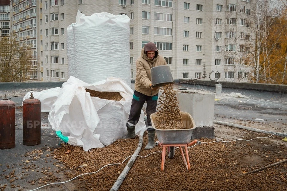 Фото: пресс-служба Брянской городской администрации.