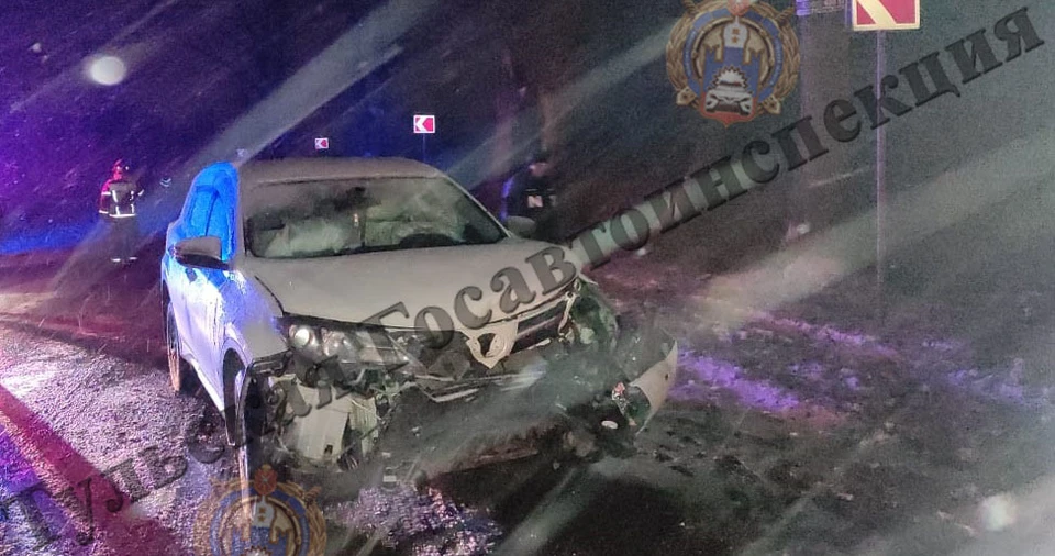В Кимовском районе автоледи на машине Toyota врезалась в дерево