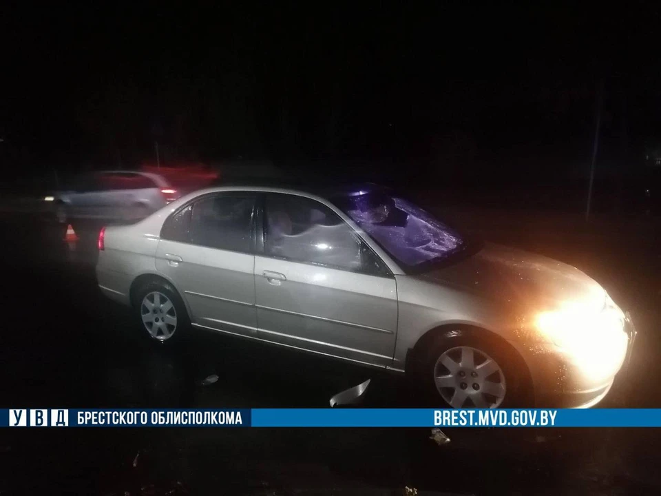 18-летний водитель сбил пешехода на переходе в Столине. Фото: УВД Брестского облисполкома, носит иллюстративный характер.