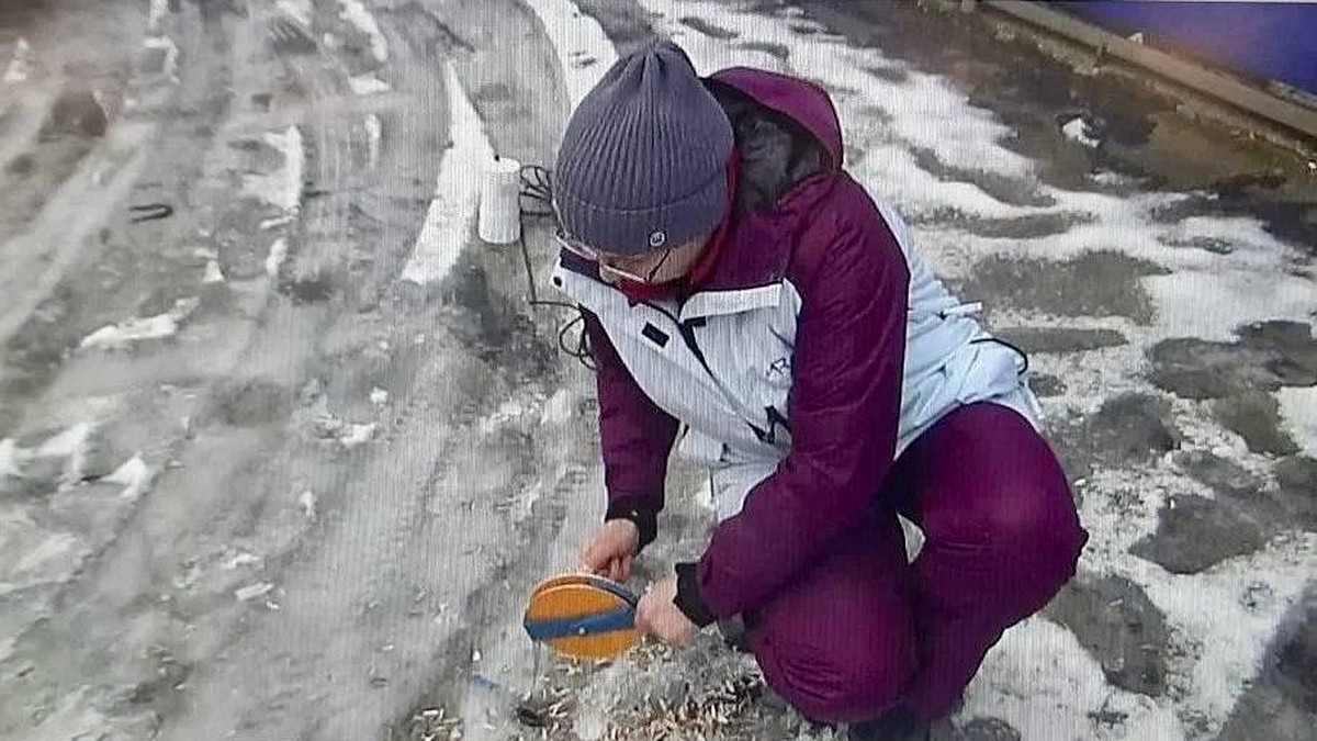 Ученые спасают дом на улице Чапаева в Салехарде, под которым неравномерно  оседает грунт - KP.RU