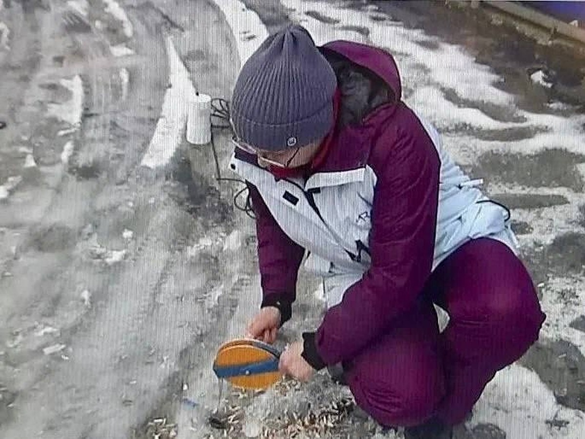 Ученые спасают дом на улице Чапаева в Салехарде, под которым неравномерно оседает  грунт - KP.RU