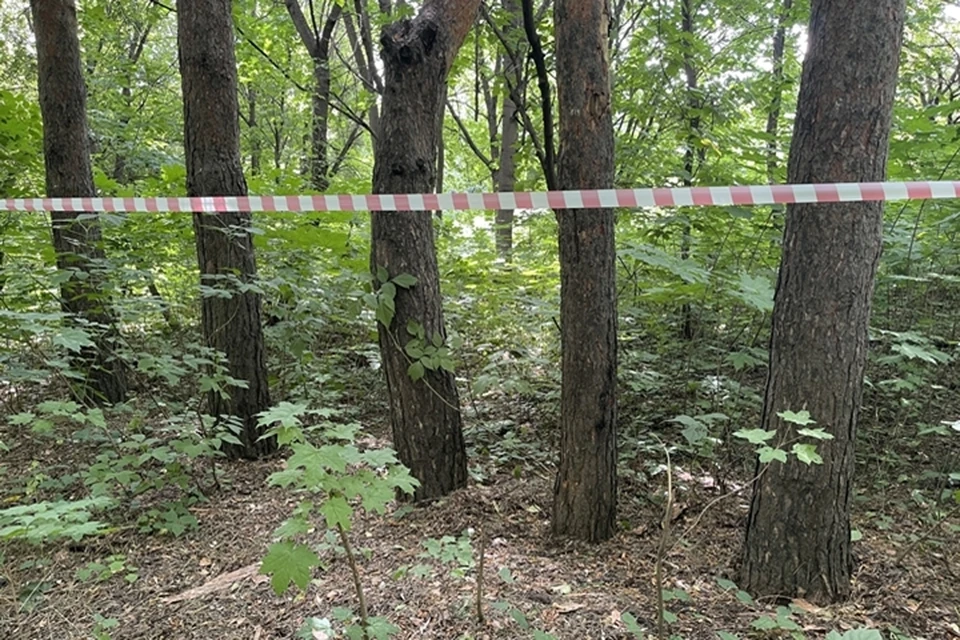 В Таганроге нашли тело женщины с ножевыми ранениями.
