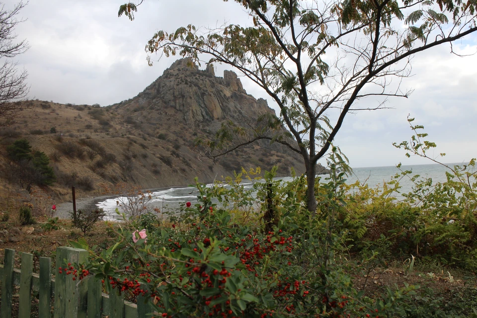 В Крыму поздняя осень.