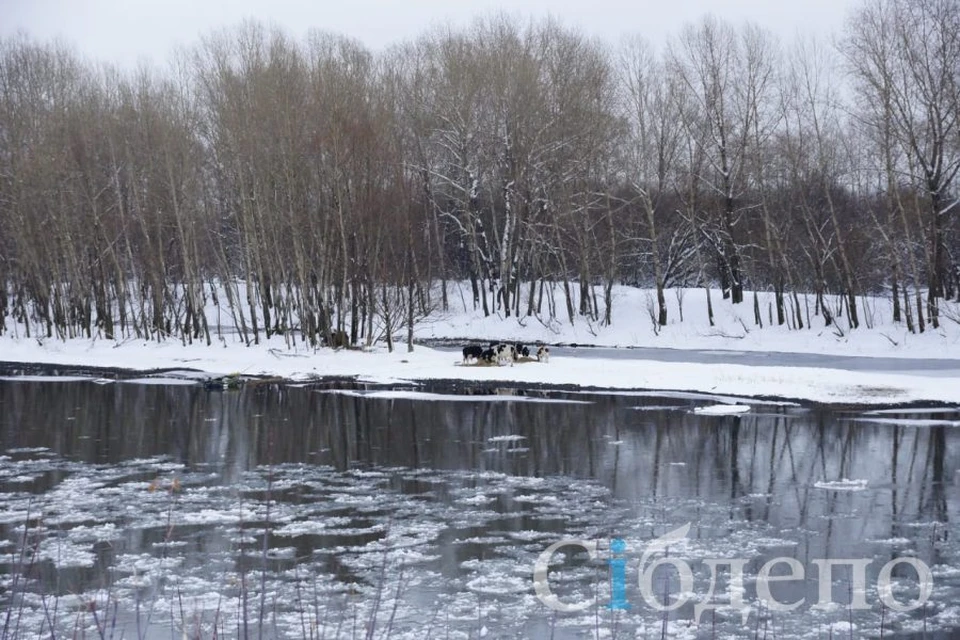 Фото: Сiбдепо