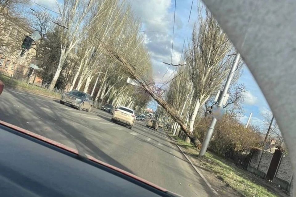 В Макеевке опасное дерево свисает над проезжей частью. Фото: Типичный Донецк