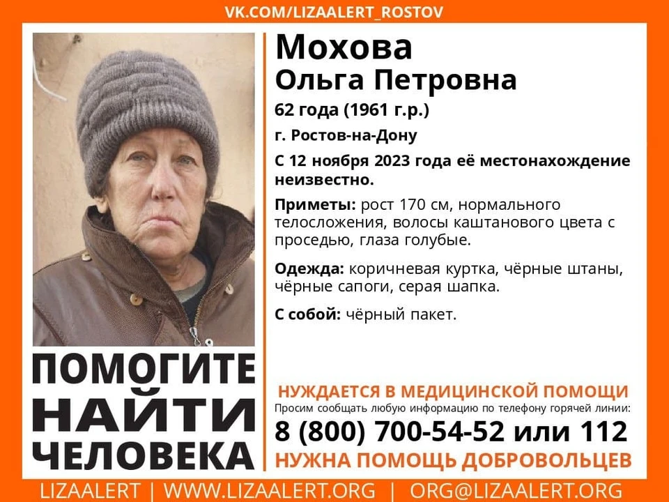 Ростовчанка пропала 12 ноября. Фото: поисковый отряд "Лиза Алерт".
